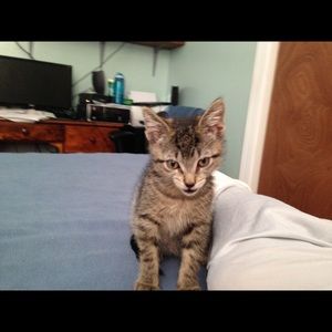 Meet your Posher, Donna